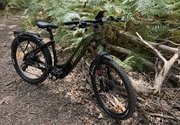 Bon plan relatif Lankeleisi MG600 Lite, la référence VAE polyvalent à (…)