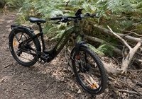 Deal Lankeleisi MG600 Lite, la référence VAE polyvalent à (…)