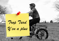 Deal expiré Le Vakole VT4, Fat Bike électrique pliant à cadre (…)