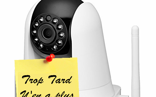 Deux caméras wifi D-Link DCS-5020L panoramique avec (...)