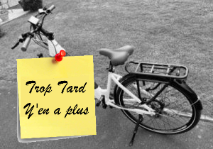 Le très beau vélo électrique ELEGLIDE T1 step thru à (...)