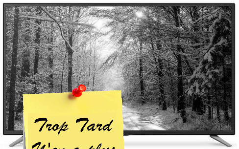 TV Sharp 43 Pouces Full HD LC-43CFF5111E 349€99 (...)