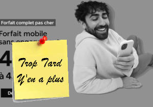 Forfait Red by SFR 40 Go 4G/20 Go UE/DOM, Appels, (…)