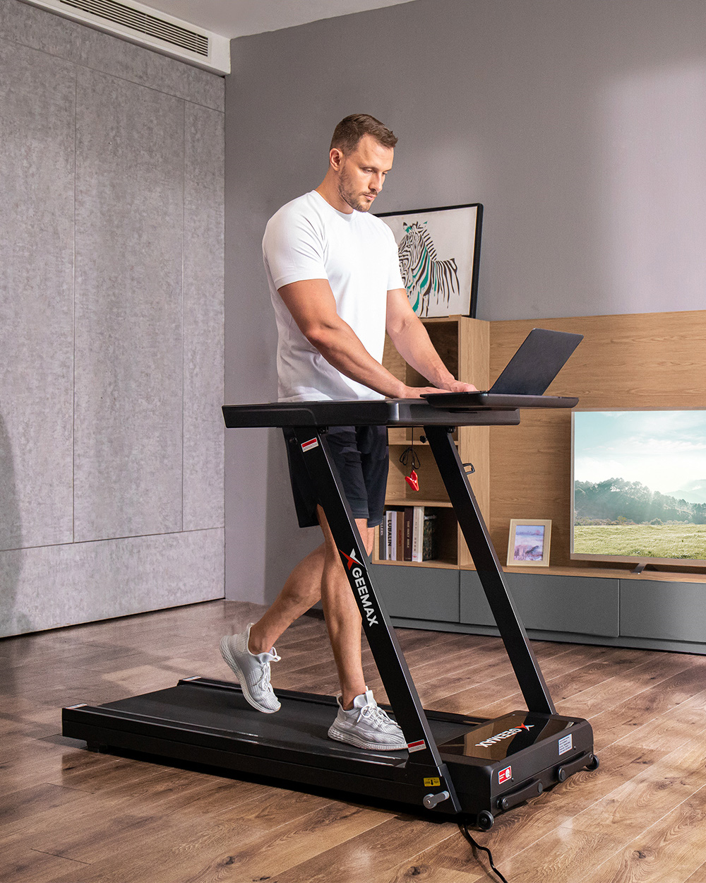 Tapis de marche course pliable Geemax S1 à 289,80€ stock EU