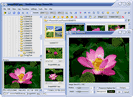 FastStone Image Viewer : petit et pratique pour visionner/retoucher et convertir ses photos