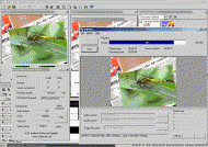 Utilisez votre encodeur MPEG/DivX préféré en sortie des logiciels Ulead