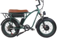 Gogobest GF750, un vélo électrique double moteur qui fait (...)