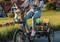 Cysum T1 Pro : le tricycle électrique adapté pour les (...)