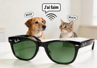 Nouvelle maj lunettes META, elles traduisent maintenant (…)
