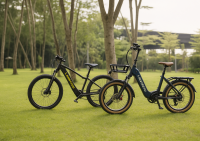 Nouveaux Lankeleisi Golf et RX600PRO, à chacun son style (...)