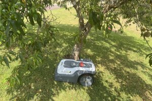 RoboUP T1200 Pro : 799 € seulement le robot tondeuse (...)