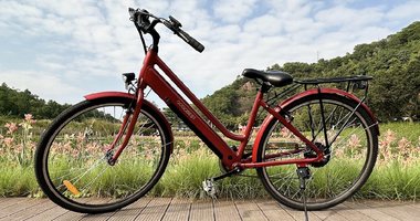 Gogobest GM28, un vélo électrique urbain petit prix, 3 (...)
